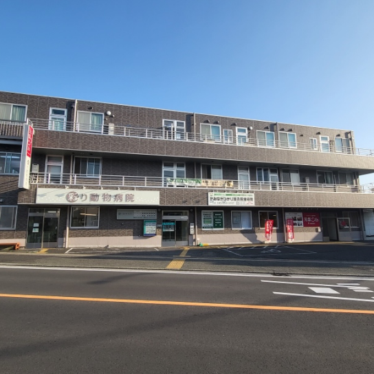 銀河 上中里